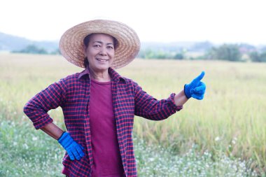 Mutlu Asyalı kadın çiftçi çeltik tarlasında, şapka, kırmızı ekose gömlek, eldiven giyiyor, elini beline ve başparmağına koyuyor. Gülümse ve kameraya bak. Kavram, Tarım İşgali.                