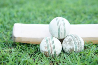 Tahta sopada beyaz kriket topu. Konsept, spor malzemeleri. Rekabetçi spor. Kriket topu mantardan bir çekirdekle yapılır, hafif kaldırılmış dikişli deri bir çanta ile kaplıdır.       