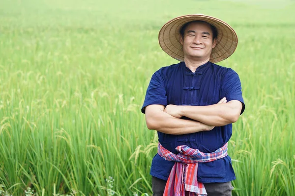 Handsome Asian man farmer is at paddy field, wears hat, blue shirt, Thai loincloth tied around waist, cross arms on chest. Concept, agriculture occupation, Thai farmer.