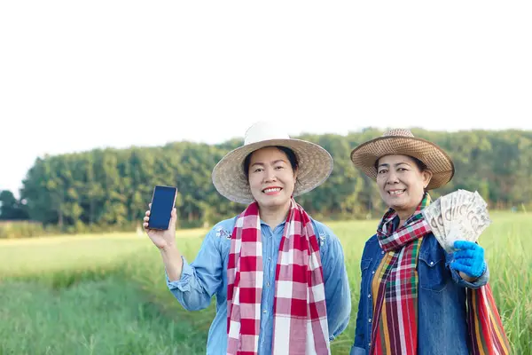 Happy Asian women farmers are at paddy field. They hold smart phone and Thai banknotes money. Concept, Agriculture occupation. Thai farmers. Profit, income. Online apps for promote products