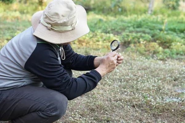 Ecologist man is exploring tiny plants by using magnifying glass. Concept examine, explore, research nature or biological organisms. Study about environment and plants.