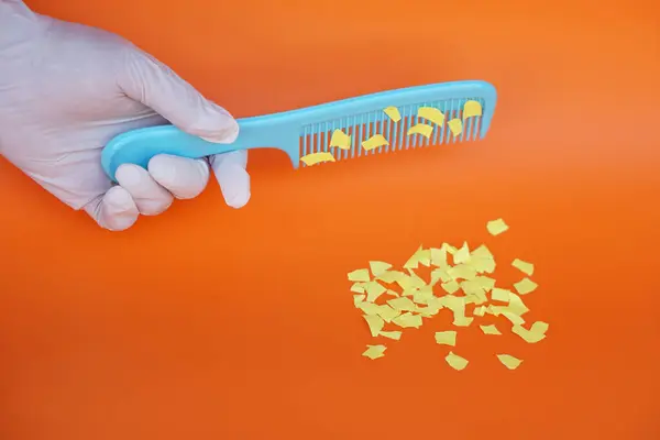 Comb Small Pieces Paper Equipment Prepared Experiment Static Electricity Orange — Stock Photo, Image