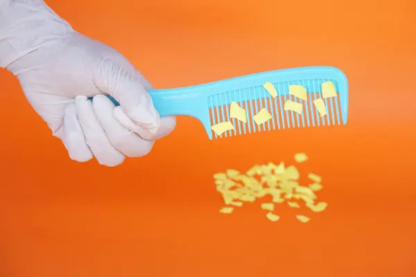 Comb Small Pieces Paper Equipment Prepared Experiment Static Electricity Orange — Stock Photo, Image