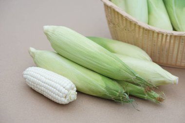 Taze organik mısır. Tayland yerlisi. Kuzeyli çiftçilerin favorisi buhar ya da buhar için yetişir ya da Tayland geleneksel tatlıları için yemek pişirir. Kavram, tarım ürünleri, yerel gıda Topluluğu tesisleri  