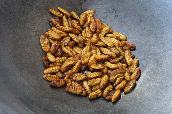 Fried silkworm insects in frying pan. Concept, weird food. Insects eating. High protine. Traditional Thai street food in Thailand. Edible Worms.