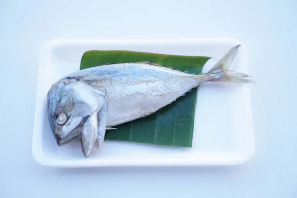 Steamed mackerel fish on green banana leaf , packed on foam tray for sale, prepared for cooking. Concept, Thai style of food package design to sell at market. Food ingredient.