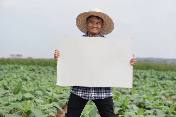 Handsome Asian man farmer holds blank paper poster at vegetables garden. Concept, Agriculture occupation. Copy space for adding text or advetisement. Happy farmer.