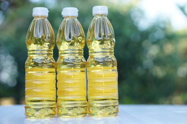 Pişirmek için üç şişe sebze yağı. Açık hava arka planı. Çekirdeklerden ya da ayçekirdeği, soya fasulyesi, zeytin, hurma meyvesi gibi bitkilerin diğer kısımlarından elde edilir.. 