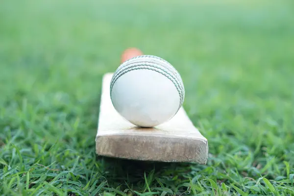 White cricket ball on wooden racket. Concept, sport equipment. Competitive sport. A cricket ball is made with a core of cork, covered by a leather case with a slightly raised sewn seam