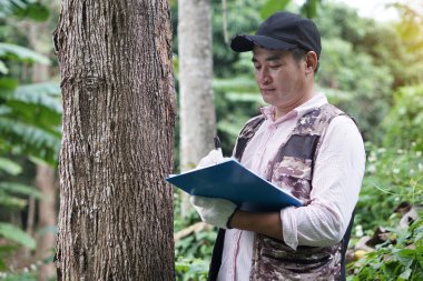 Asyalı erkek botanikçi ağaç gövdesi hakkında kağıt panoda inceleme ve kayıt yapıyor. Kavram, araştırma, botanik bitkileri. Orman ve çevre koruma.