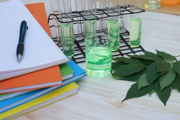 Science experiment, green liquid substance in test tubes, leaves, paper notebooks and pen. Concept, Science lesson, experiment equipment and tools. Education. Teaching materials