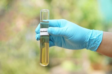 Kapalı el giyimi mavi eldiven, test tüpü biyodizel. Kavram. Bilim, yenilenebilir yakıt olmak için biyodizel geliştirmeye devam ediyor. Alternatif dizel yakıt. 