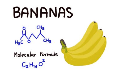 Moleküler formüllü muz resmi. Eğitim için İllüstrasyon. Günlük hayatta meyvelerin kimyasal formül yapısı hakkında bilim ve kimya dersi vermek.