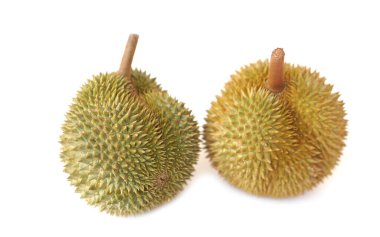 Durian meyveleri, beyaz arka planda izole edilmiş. Kavram, tropikal ve mevsimsel meyveler Tayland 'da. Tarım ürünleri. Tayland 'da farklı türler vardır. Meyvelerin kralı.                  