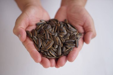 El ele tutuşan ayçiçeği tohumları, beyaz arka planda izole edilmiş. Tarım ürünleri kavramı. Atıştırmalık ya da yiyecek olarak yenilebilir çiçek tohumları. Çiğ tohumlar bir sonraki gelişim için büyüyebilir..