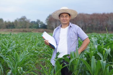Yakışıklı Asyalı çiftçi bahçedeki bitki ve bitkileri inceliyor, şapka takıyor, elinde kağıt pano tutuyor. Konsept, tarımsal çalışma ve araştırma. Organik tarım.           