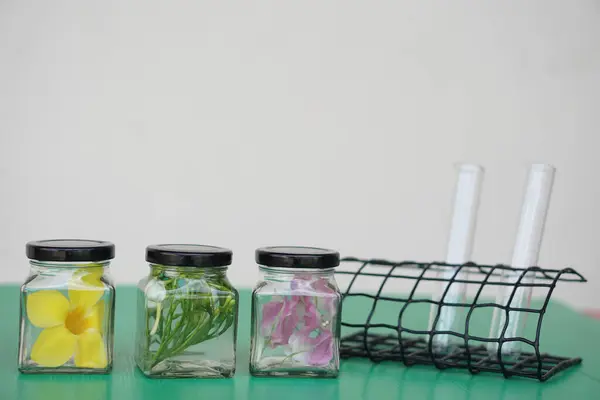 Stock image Transparent bottle jars that contain sample flowers, pickled with chemical to preserve of freshness. Concept, scientific experiment.      