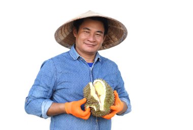 Yakışıklı Asyalı çiftçi, şapka, mavi gömlek ve eldiven giyiyor, durian meyvesi tutuyor, beyaz arka planda izole edilmiş. Kavram, tarım işgali. Taylandlı çiftçiler ekonomik ürün olarak durian meyvesi yetiştiriyor.