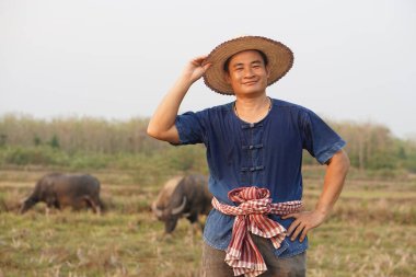 Asyalı çiftçi amimal çiftlikte, elini beline koyuyor, şapka takıyor. Kavram, çiftlik hayvanları, Taylandlı çiftçiler bufaloları ekonomik ve ihraç hayvanları olarak yetiştirip bakıyorlar..   