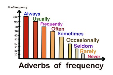 Frekans adresleri hakkında elle çizilmiş resim. Frekans seviyesini göstermek için bar çizelgesi, sayı ve sözcük dağarcığı. Eğitim için illüstrasyon. Konsept, İngilizce dil bilgisi. Eğitim. Öğretmenlik yardımı. 