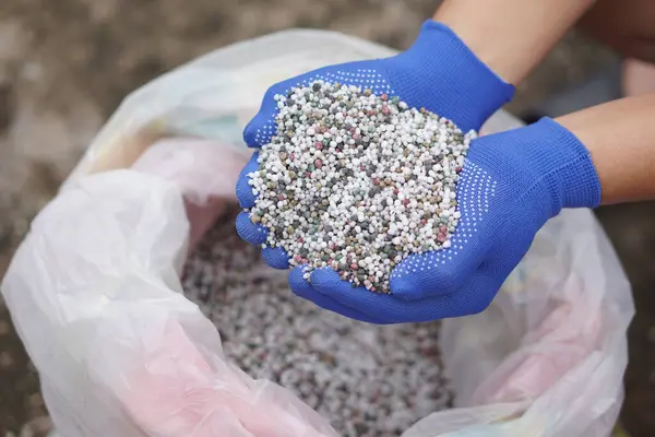 Stock image Close up hands hold mixed chemical fertilizer. Concept;  chemical fertilizer production use in agriculture consists of basic nutrients which are Nitrogen (N), Phosphate (P2O5) and Potassium (K2O).    