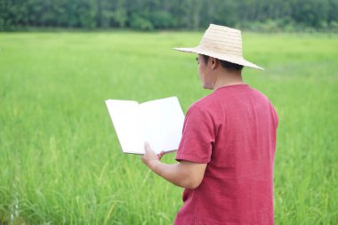 Asyalı çiftçi çeltik tarlasında kitap okuyor. Kavram, kişisel çalışma, kişisel gelişim için kitap okumak günlük hayatta bilgiyi uygulamak. Tarım yaşam tarzı.               