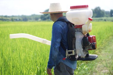 Asyalı çiftçi gübre püskürtme makinesini sırtında taşır, bahçede durur. Çiftçi kavramı, tarımda motor kolaylaştırıcı araç kullanır. Tohum ekmek için kolay ve hızlı.                                    
