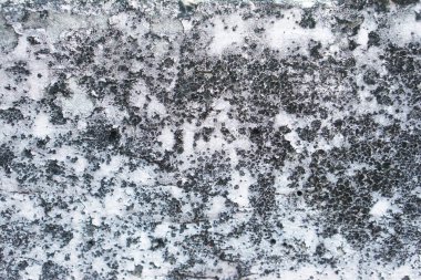 Siyah küf lekeleriyle kaplı beton duvar. Kavram, betondaki küf lekeleri duvarı kirletir veya zarar verir, bakım için temizleme ya da yeniden boyama gereksinimi duyar.