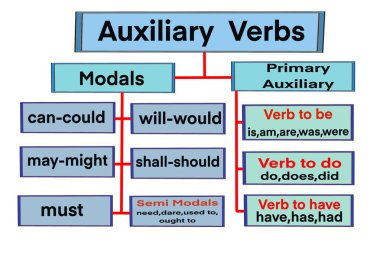 Yardımcı Fiiller diyagramının el çizimi resmi. Eğitim için illüstrasyon. İngilizce dil bilgisi öğretmenliği kavramı. Farklı fiil türleri dersi. Öğretmenlere ve öğrencilere yardım. Öğrenme dili