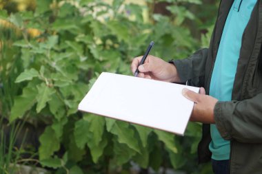 Bir tarım araştırmacısı kalemle yazarak bahçedeki organik bitkilerin büyümesini ve hastalığını inceliyor. Ekinlerin kalitesini geliştirmek için konsept, tarım eğitimi ve araştırma .      