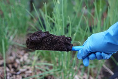 Çiftçi elleri bahçedeki bitkileri gübrelemek için gübre toprağı tutuyor. Kimyasal gübre yerine organik tarım için gübre kullanarak tarım ürünlerini kavramsallaştırır..  