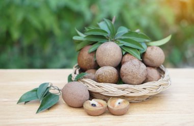 Sepette taze organik sapodilla meyveleri ve ahşap zemin. Kavram, yumuşak kahverengi kabuklu tropikal meyveler, tatlı ve lezzetli. İlaç ve vitamin ile tarım ürünleri.           
