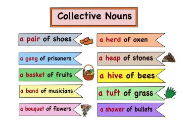 Collective Naons 'la ilgili renkli tabirlerin el çizimi resmi. Eğitim için illüstrasyon. Öğrenciler için İngilizce dil bilgisi ve sözcük bilgisi öğretim yardımını kavrayın. Eğitim materyalleri.