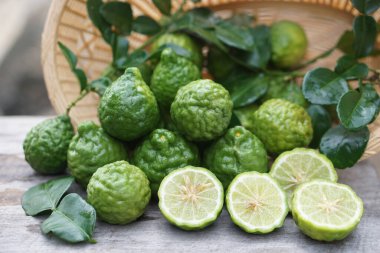 Sepette yaprakları olan taze kaffir limonları. Aromatik Tayland otları yemek pişirmek, doğal şampuan ve ev yapımı temizleyiciler için kullanılır. Citrusy kokusu ve geleneksel tıbbi özellikleriyle bilinir..                               