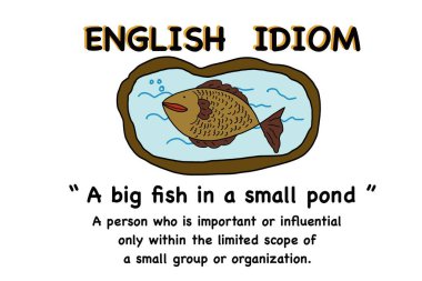 İngiliz deyimiyle göldeki bir balığın el çizimi resmi küçük bir göldeki büyük balık ve onun anlamı, eğitici illüstrasyon. Çocukların öğrenmesine yardımcı olmak için dil öğrenme yardımı kavramını kabul et.