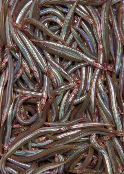 stock image Fish for sale at the famous Mercat del Lleo which is Gironas famous indoor market. High quality photo