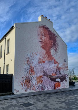 Derry 'nin Bogside bölgesindeki duvar resimleri. Yüksek kalite fotoğraf