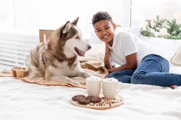 Happy boy and husky dog hugs, looks at camera in white room at home. Smiling african american schoolboyl playing, having good time with pet at Christmas. Friendship, animal care, happiness concept