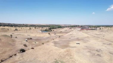 Segovia 'daki İspanyol platosundaki büyük bir sığır çiftliğinin insansız hava aracı görüntüsü - 283