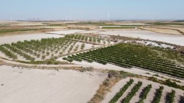 Güney Aragon 'un Arid Toprakları' ndaki üzüm bağları üzerinde hava aracı vuruldu - 509