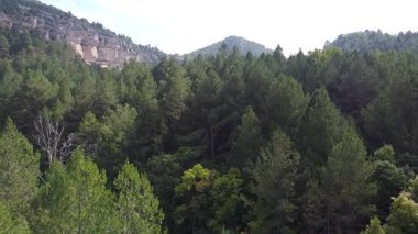 İspanya 'daki Alto Tajo Ormanlarının Sağdan Soluna Hava Aracı Görüntüsü - 563