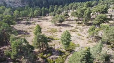 İspanyol Akdeniz Ormanı 'nın Soldan Sağına Hava Aracı Görüntüsü - 585