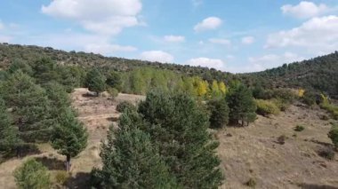 İHA İspanya 'daki Akdeniz Ormanı' na doğru ilerliyor. 580.