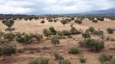 Fırtınalı bir yaz gününde, arka planda dağlarla birlikte Uçsuz bucaksız Dehesa üzerinde ilerleyen bir hava aracı vuruldu.