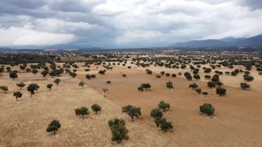 Toledo 'nun Uçsuz bucaksız Ağaç Ovası' nda Soldan Sağa Hava Panoramik Çekimi - 626
