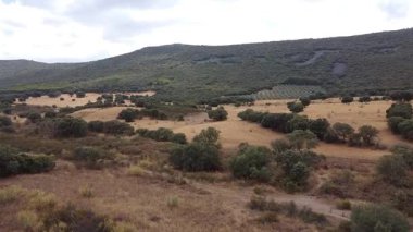 İHA İspanya 'nın La Mancha kentindeki bir çiftliğe doğru ilerlerken vuruldu - 600