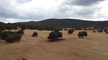 Hava Aracı, çok bulutlu bir yaz gününde Castilla-La Mancha Dehesa 'sı üzerinde ilerlerken ateş etti.