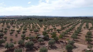 Mancha Platosu, Ciudad Real 'de Statik Hava Aracı Görünümü - 641
