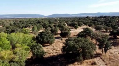 Toledo 'daki Dehesa' nın Statik Hava Görüntüsü - 800