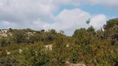 Sağdan sola Akdeniz Ormanının 1016 numaralı araçtan vuruşu.